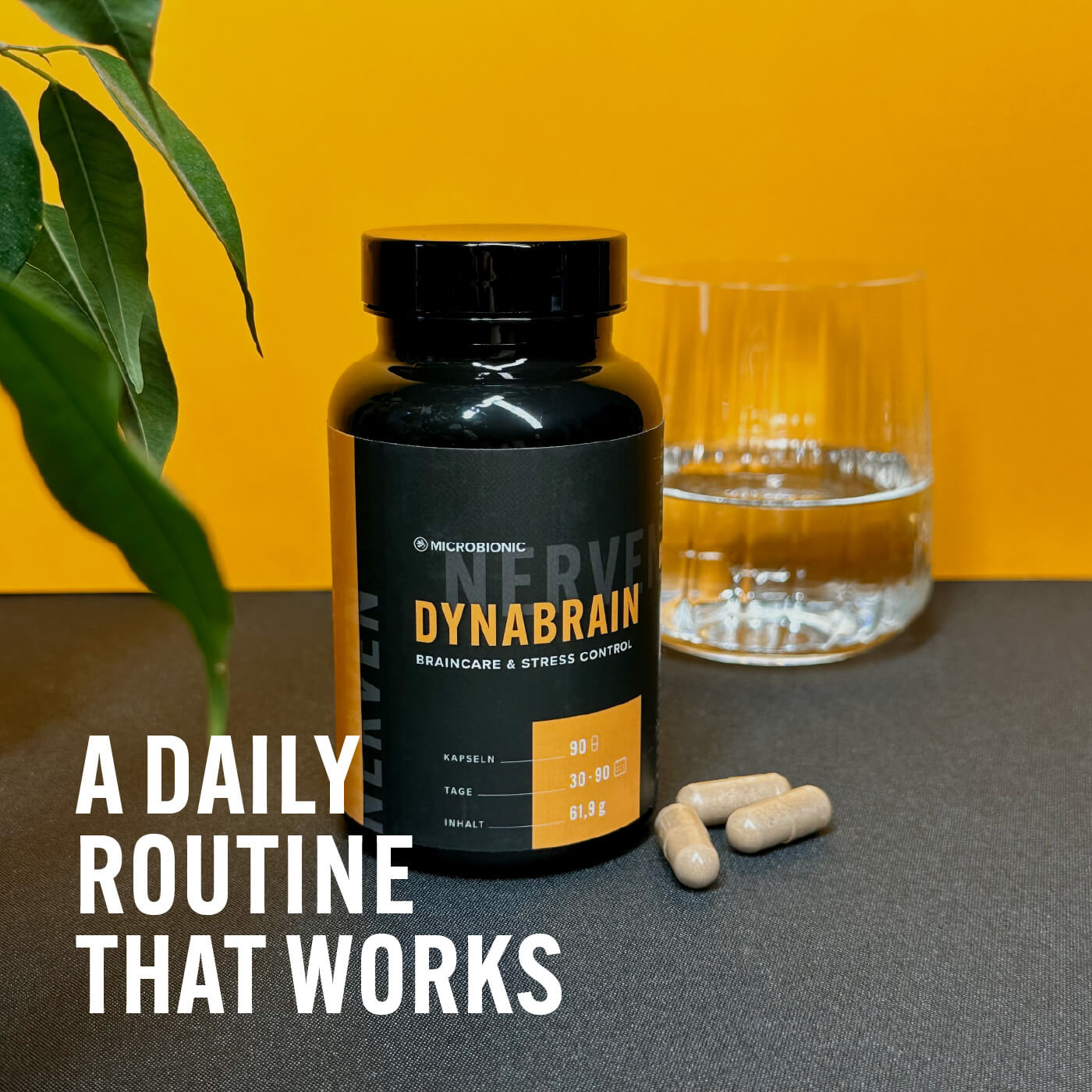 Dynabrain – A Daily Routine That Works