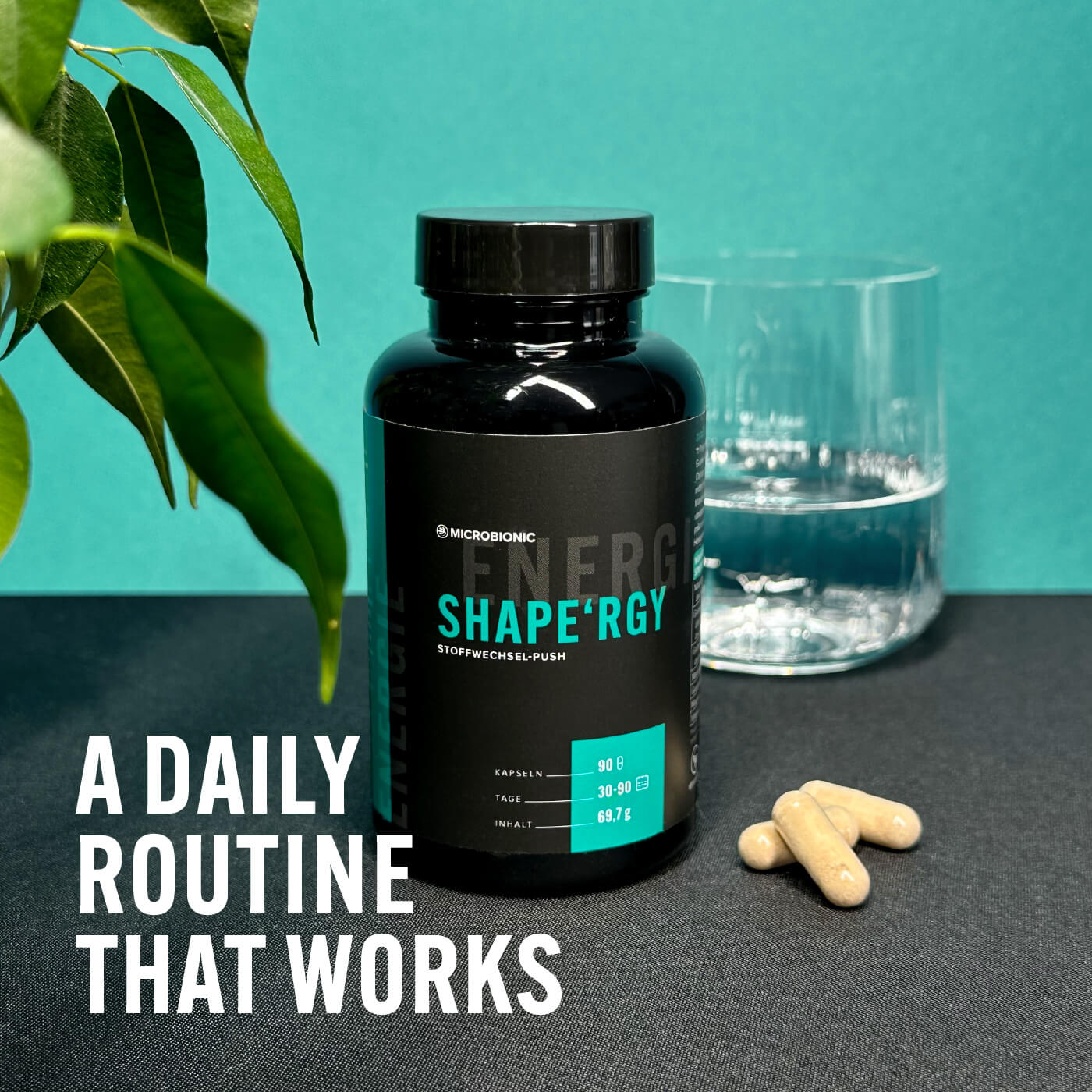 Shape'rgy – A Daily Routine That Works