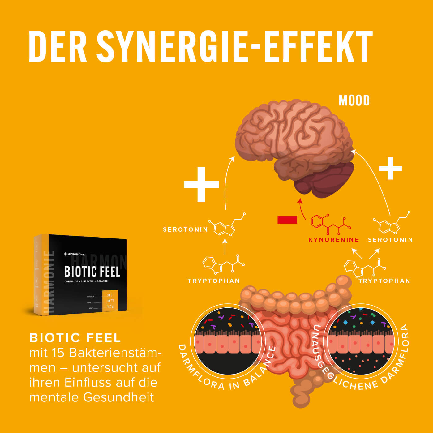 Biotic Feel – Synergie-Effekt