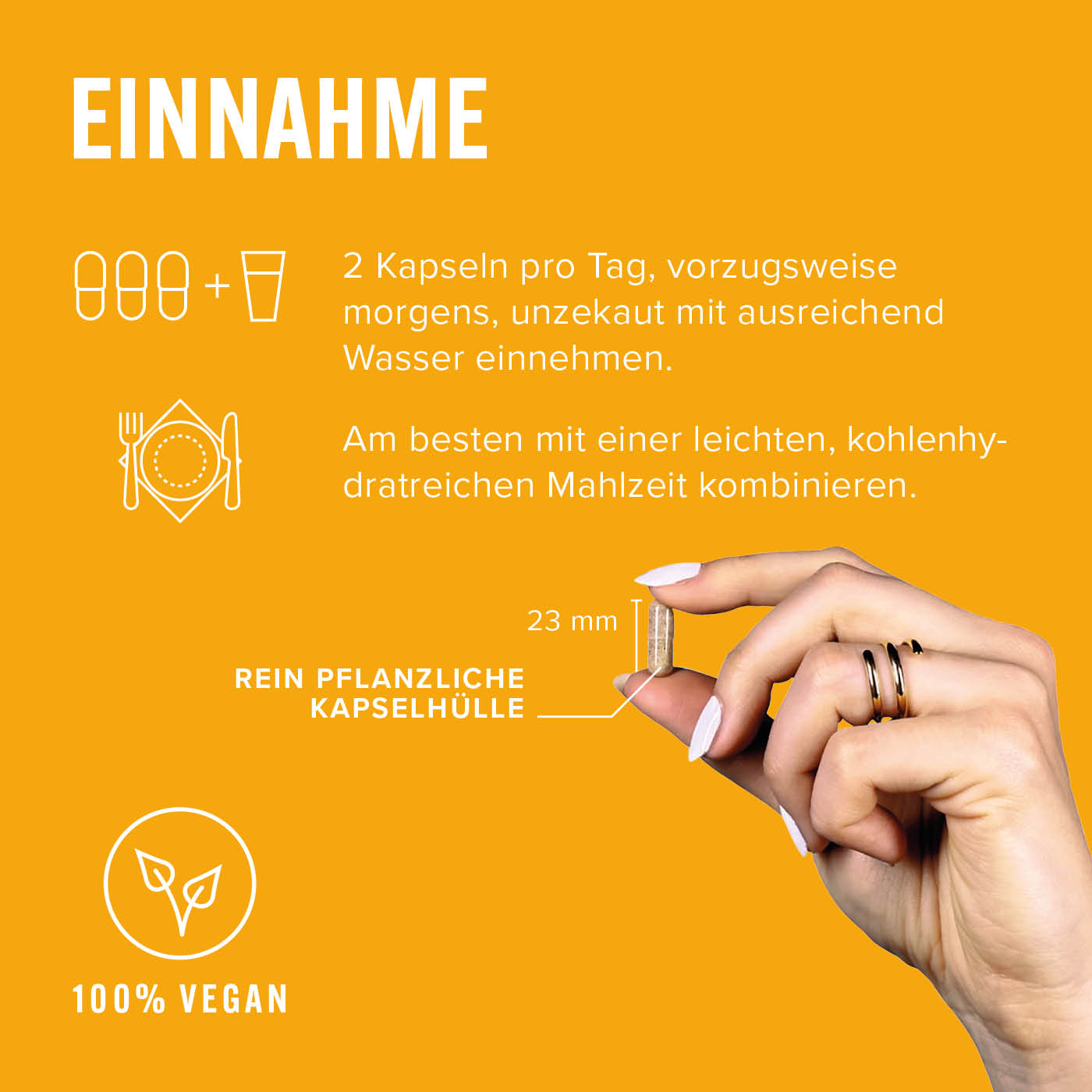 lightbox image lightbox image