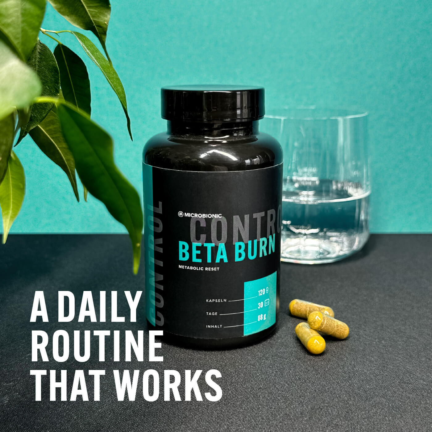 Beta Burn – A Daily Routine That Works