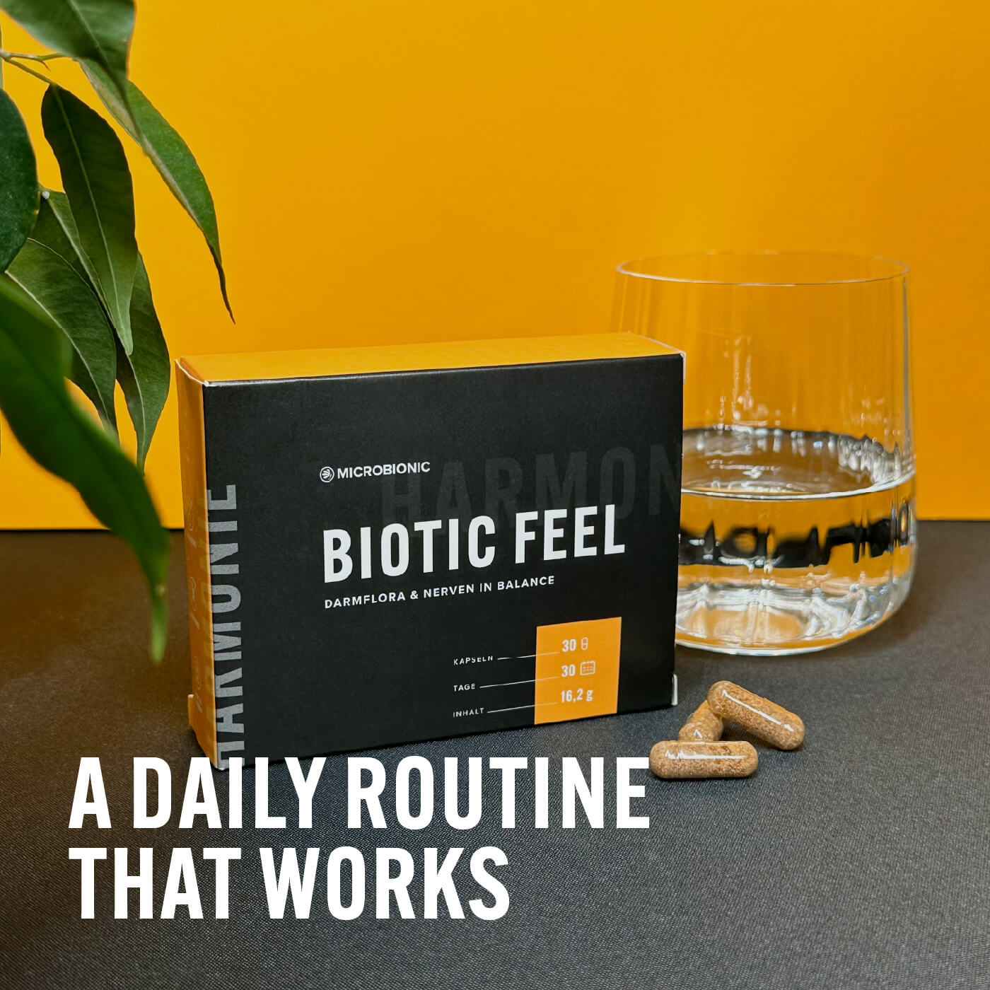 Biotic Feel – A Daily Routine That Works