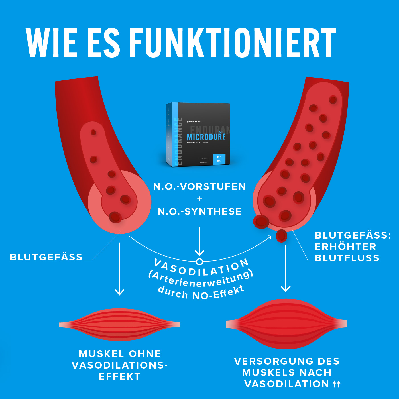 lightbox image lightbox image