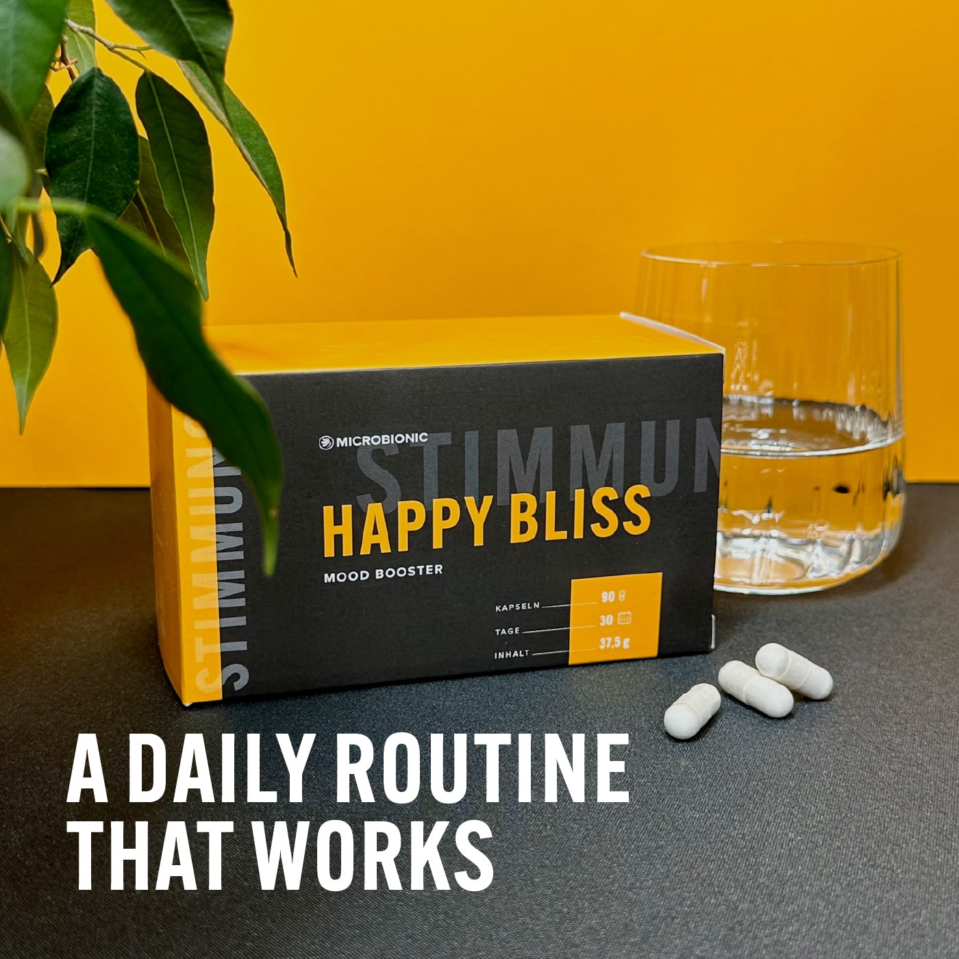Happy Bliss – A Daily Routine That Works
